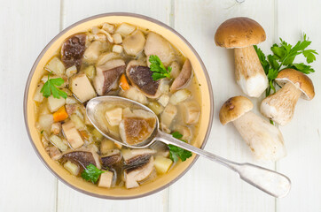 Bowl of forest edible porcini mushroom soup on wooden table