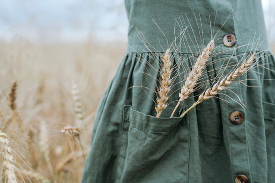 Girl with wheat ears in pocket of green dress