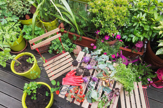 Vegetables by plants on table in garden