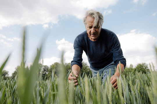 Wrinkled man looking at crop against cloudy sky in agricultural field