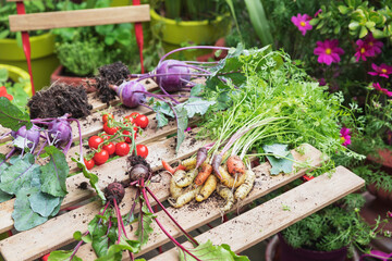 Plants and vegetables over table in urban garden