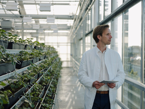 Scientist holding tablet in a greenhouse looking out of window