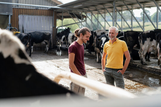 Smiling mature farmer with adult son at cow house on a farm