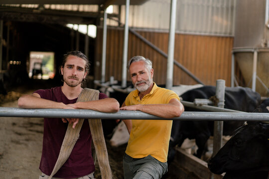 Portrait of mature farmer with adult son at cow house on a farm