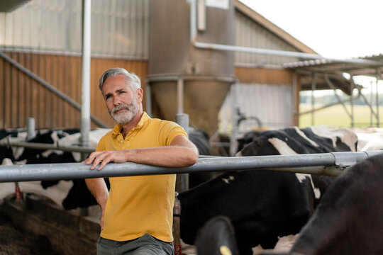 Thougtful mature farmer at cow house on a farm