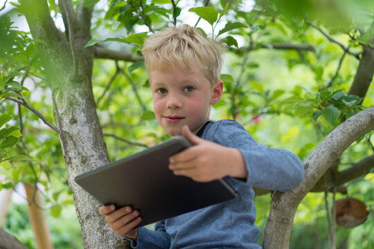 Cute boy sitting with digital tablet on tree branch