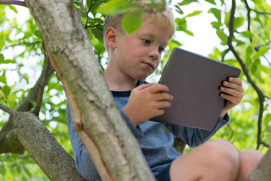 Cute boy using digital tablet while sitting on tree branch