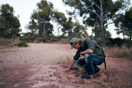 Mature man examining soil in forest