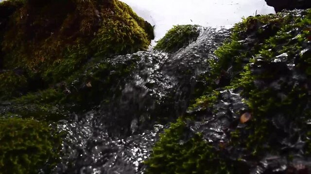 Arroyo peque&ntilde;o de agua pura de monta&ntilde;a.