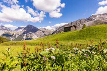 Swiss Alps in summer with secluded hut in background