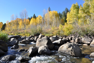 Scenic landscape view of river with large boulders and trees with fall colors in the background