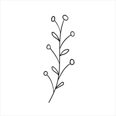 Doodles Herbs and flowers, hand-drawn flowers, floral set of wildflowers and herbs, vector objects isolated on a white background.