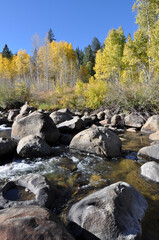 Scenic vertical view of river with large boulders and trees with fall colors in the background