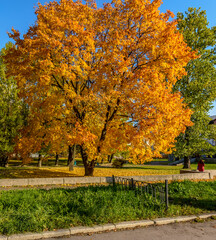 Naklejka premium Walk along the autumn prospect in the city .