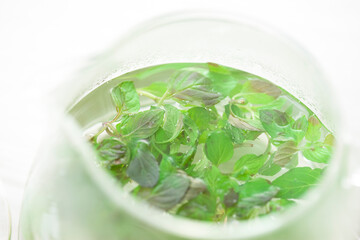 ペパーミントのハーブティー