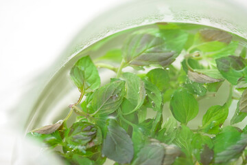 ペパーミントのハーブティー