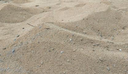 Fototapeta na wymiar texture of sand background, closeup of sand in construction site, macro shots