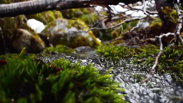 Arroyo peque&ntilde;o de agua pura de monta&ntilde;a.