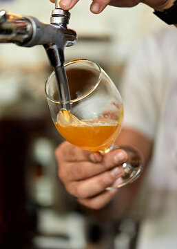 Close-up of barkeeper tapping beer