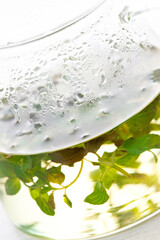 ペパーミントのハーブティー