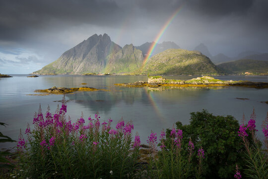 Scenic view of rainbow over mountain and sea with fireweed growing in foreground