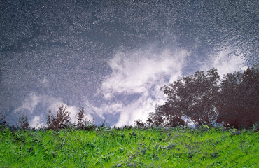 Fototapete bei efototapeten.de bestellen   