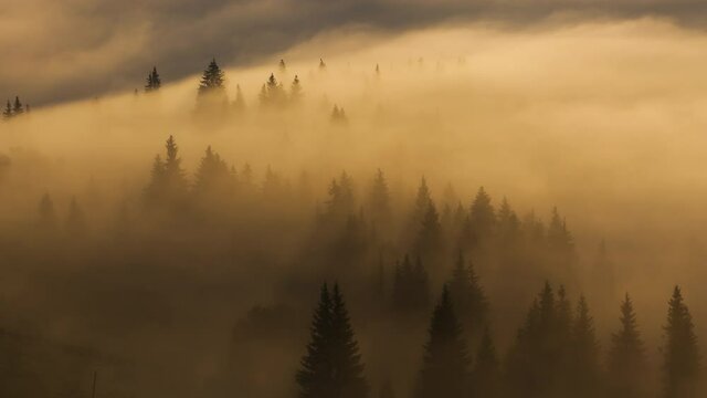 Misty dawn in the mountains. Beautiful landscape. Timelapse