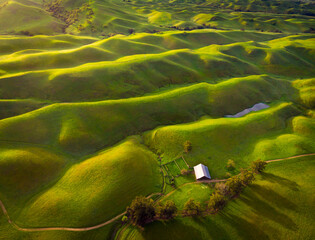 Aerial view of green hills in spring