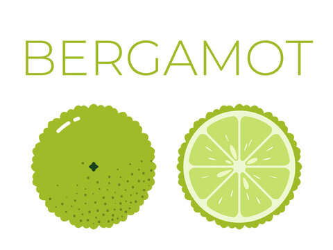 Vector of bergamot and sliced half of bergamot on white background