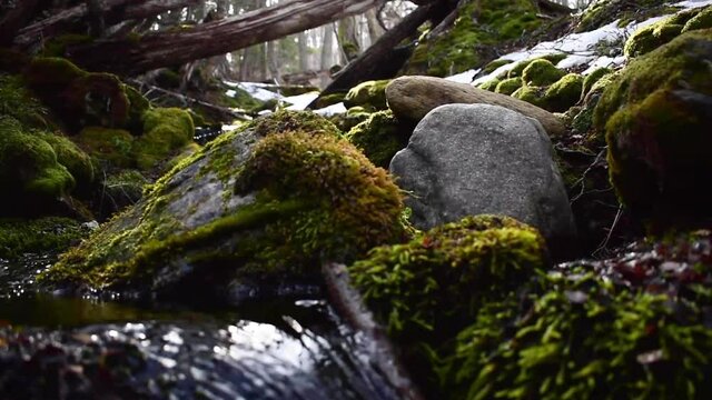 Arroyo peque&ntilde;o de agua pura de monta&ntilde;a.