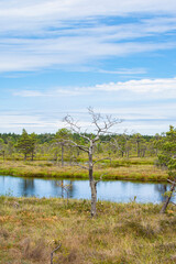 View of The Kemeri National Park, Latvia