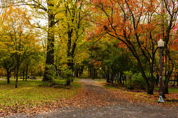 Fototapeta na wymiar Maizerets Park in Quebec city, mid autumn