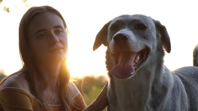 Close up. A Portrait of a Beautiful Dog Being Caressed by a Girl. Woman Hands and a Dog. Green Trees Background. Slow motion