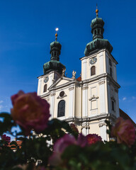 Basilika Frauenkirchen im Burgenland mit Blumen im Vordergrund