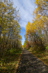 Hiking Trail in Autumn