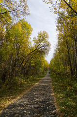 Hiking Trail in Autumn