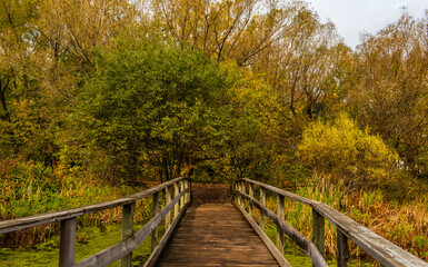 Maizerets Park in Quebec city, mid autumn