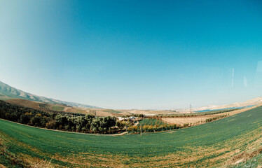 Naklejka premium vineyard in autumn