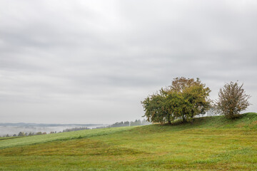 Obraz premium Herbstlandschaft