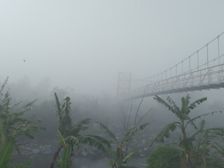 fog over the river