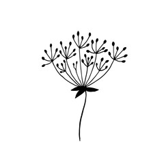 Dill umbrella. Vector hand-drawn doodle illustration. Black and white silhouette