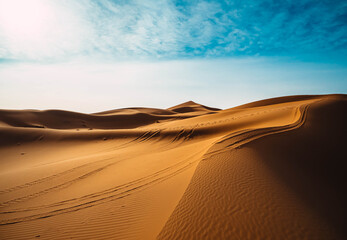 sand dunes in the desert