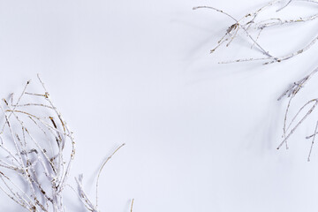 Corner Christmas frame decorated with frost twigs.