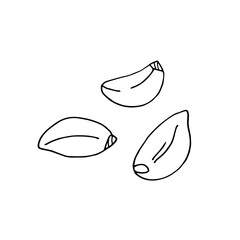 Garlic. Three cloves of garlic. Vector hand-drawn doodle illustration. Black and white silhouette