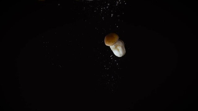 Four small white mushrooms on a black background with yellow-brown caps and rough legs fall into the water and float up to form bubbles