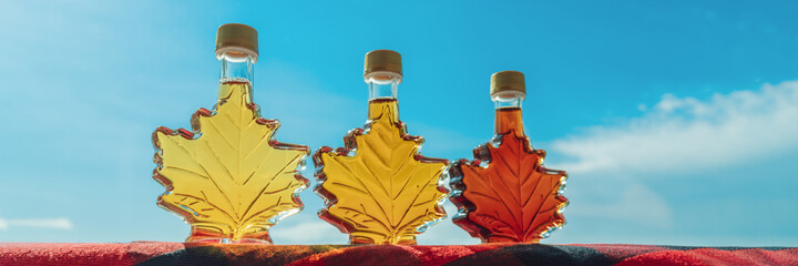 Maple syrup bottles in leaf shape on blue banner background. Selection of different grades of quality, golden, amber, dark for tasting gift from Quebec, Canada.
