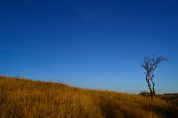 autumn view of the hill with field herbs and blue sky