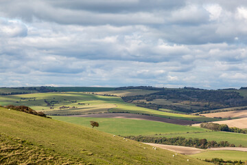 Fototapeta na wymiar The View from Kingston Ridge in Sussex