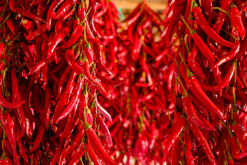Fototapeta premium peppers drying outside as traditional