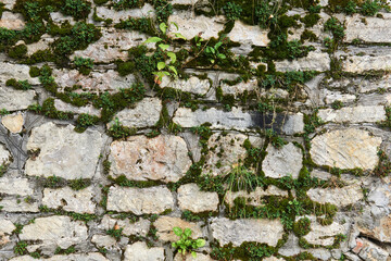 mossy wall made of wild stone